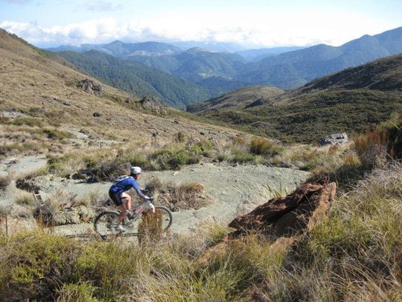 The Picturesque Climb Along New Zealand’s 1st Railway Line