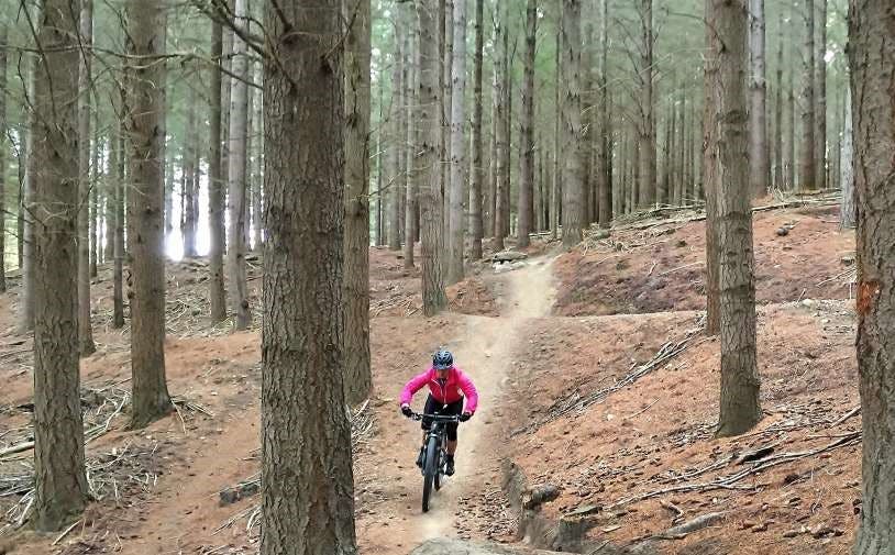 Central Otago MTB Meccas